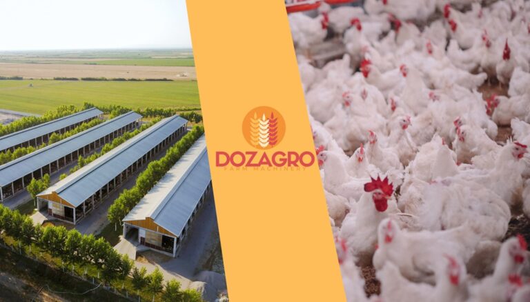 Ferma drobiu i kurniki z lotu ptaka