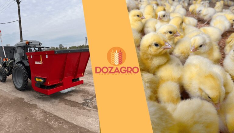 Traktor z przyczepą i kurczaki